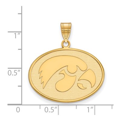 University of Iowa Gold-Plated Sterling Silver Large Hawk Pendant – view 2