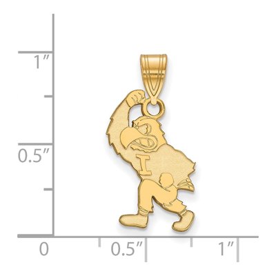 University of Iowa Gold-Plated Sterling Silver Large Hawk Mascot Pendant – view 2