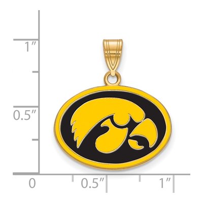 University of Iowa Gold-Plated Sterling Silver Medium Hawk Pendant – view 2