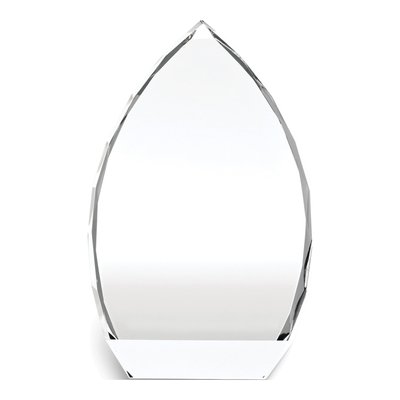 Small Optic Glass Spear Award