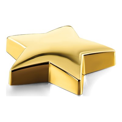 Brass-Plated Star Award Paperweight – view 2