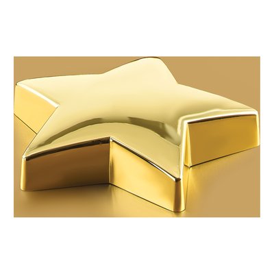 Brass-Plated Star Award Paperweight – view 3