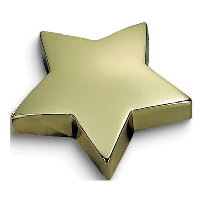 Brass-Plated Star Award Paperweight