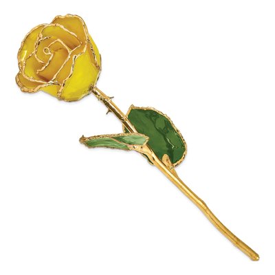 Gold-Trimmed Real Rose – view 2