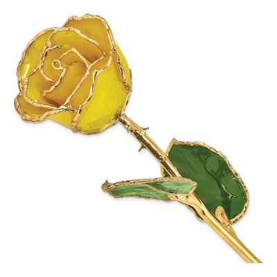 Gold-Trimmed Real Rose