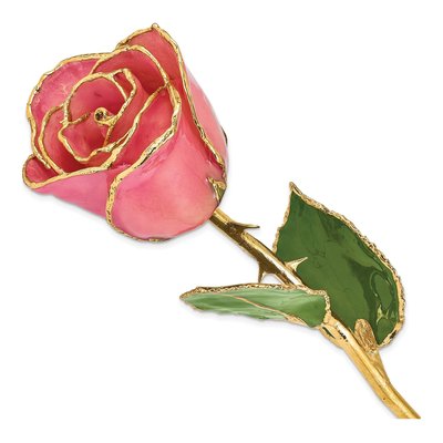 Pink Real Rose with 24K Gold Trim