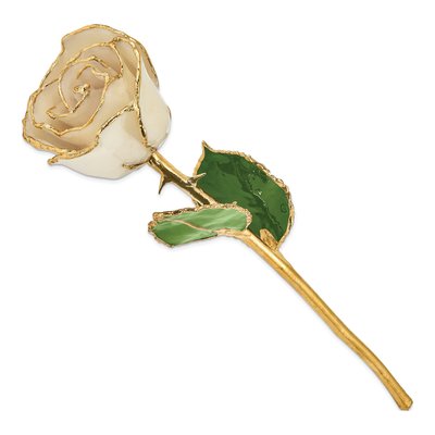 Lacquer Dipped White Rose with Gold Trim – view 2