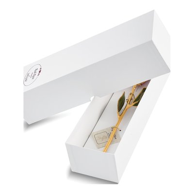 Lacquer Dipped White Rose with Gold Trim – view 3