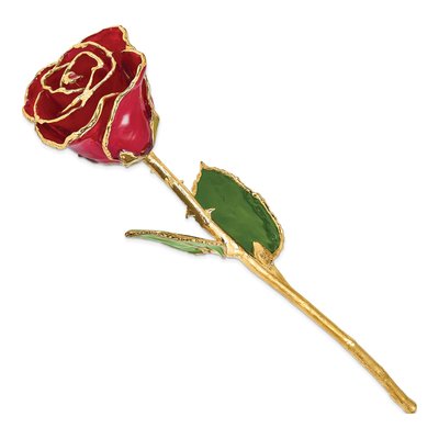 Real Red Rose with 24K Gold Trim – view 2