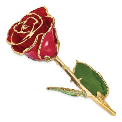 Real Red Rose with 24K Gold Trim