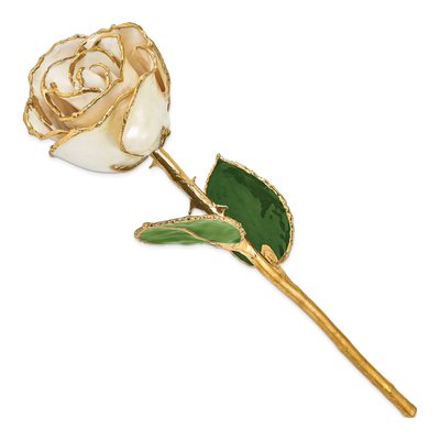 White Satin Real Rose with 24K Gold Trim – view 2