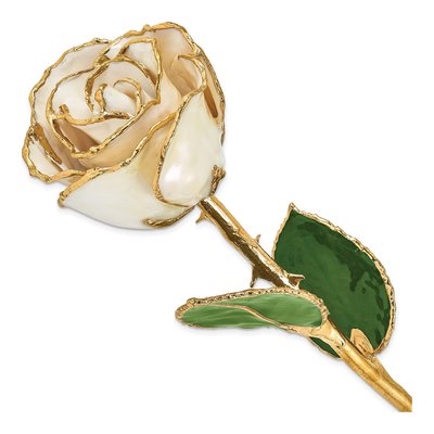 White Satin Real Rose with 24K Gold Trim