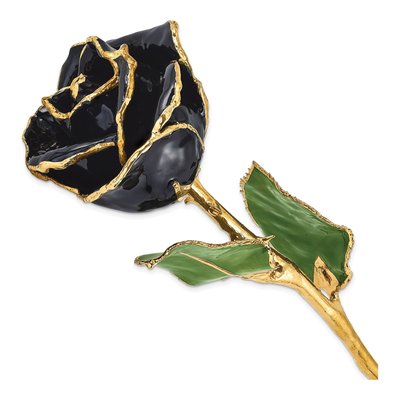 Black Lacquered Real Rose with Gold Trim
