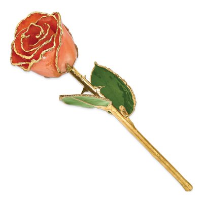 Lacquer-Dipped Orange Rose with Gold Trim – view 2