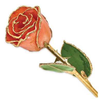 Lacquer-Dipped Orange Rose with Gold Trim