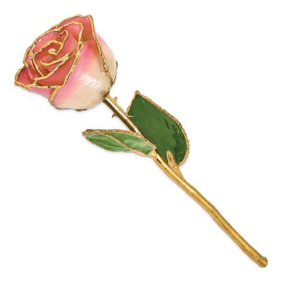 Lacquer Dipped Real Rose with Gold Trim – view 2