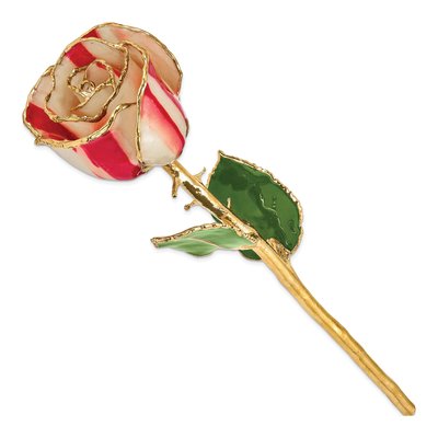 Lacquer Dipped Gold-Trimmed Real Peppermint Rose – view 2
