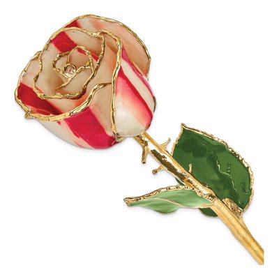 Lacquer Dipped Gold-Trimmed Real Peppermint Rose