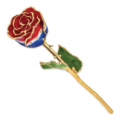 Lacquer Dipped Gold Trimmed Real Rose Gift – view 2