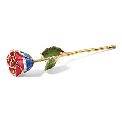 Lacquer Dipped Gold Trimmed Real Rose Gift – view 6