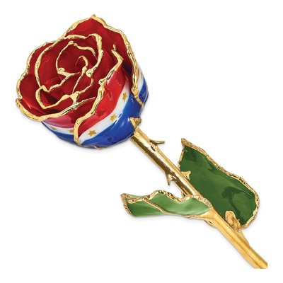 Lacquer Dipped Gold Trimmed Real Rose Gift