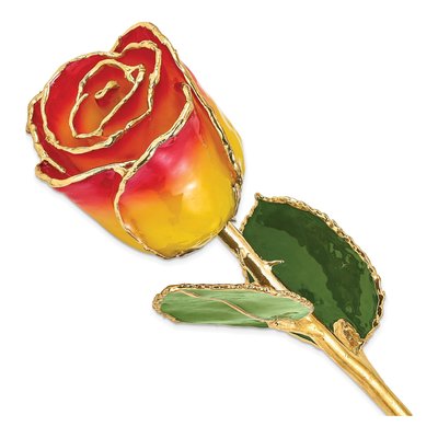 Real Rose with 24K Gold Trim