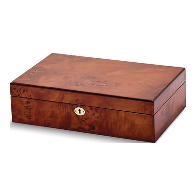 Locking 10-Watch Case