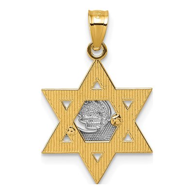 14K Two-Tone Gold Dove on Star of David Pendant – view 4