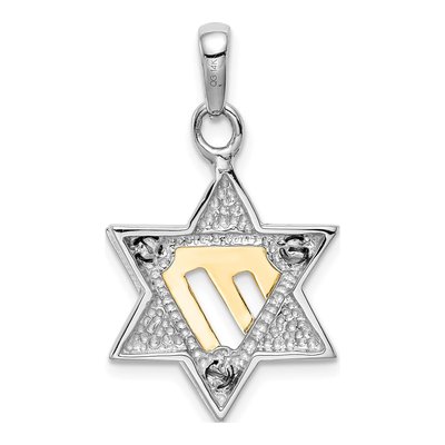 14K Two-Tone Gold Star of David Pendant – view 5