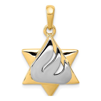 14K Two-Tone Gold Star of David Pendant