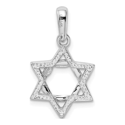 14K White Gold Star of David Pendant – view 4