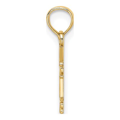 14K Yellow Gold RN Caduceus Pendant – view 3