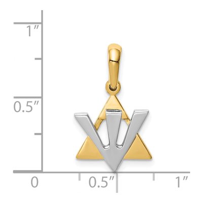 14K Two-Tone Gold Star of David Shin Pendant – view 4