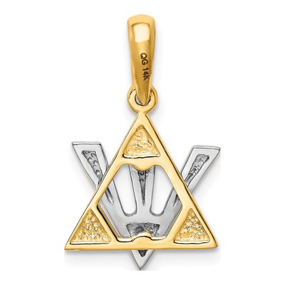14K Two-Tone Gold Star of David Shin Pendant – view 5