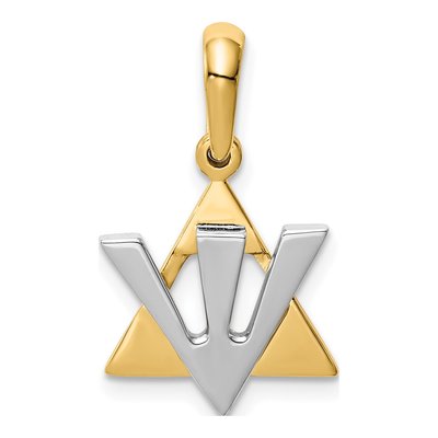 14K Two-Tone Gold Star of David Shin Pendant