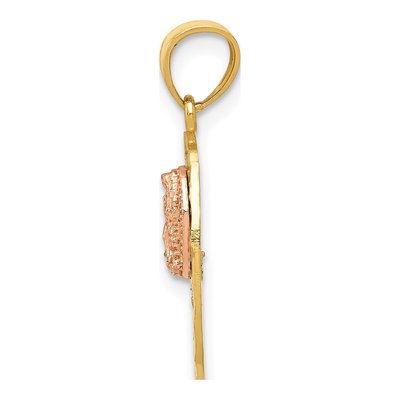 14K Two-Tone Gold Our of Guadalupe Pendant – view 3