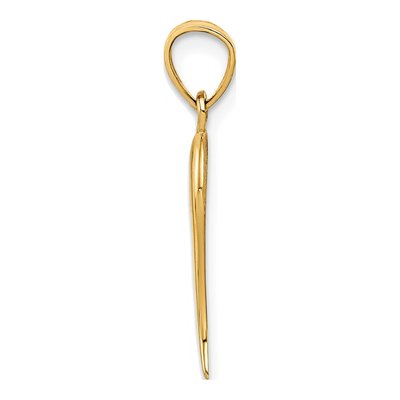 14K Yellow Gold Horn Pendant – view 3