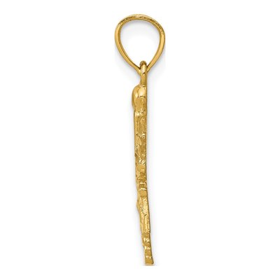 14K Yellow Gold RN Nurse Pendant – view 3