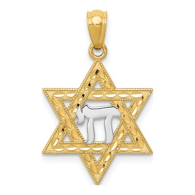 14K Yellow Gold Star of David Chai Pendant