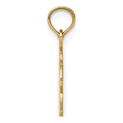 14K Yellow Gold Textured Eagle Head Charm – view 3