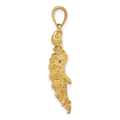 14k Gold Sea Turtle with Spiny Shell Charm – view 3