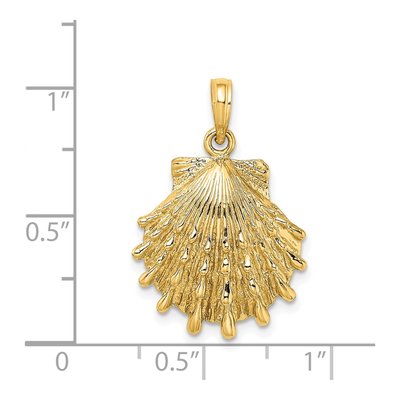 14K Yellow Gold Lion's Paw Shell Charm – view 4