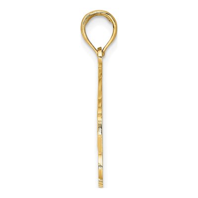 14K Yellow Gold Naples Florida Dolphins Charm – view 3