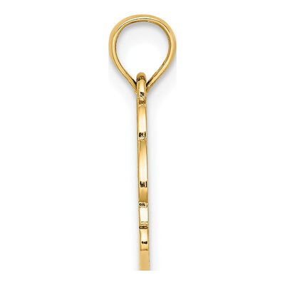 14K Yellow Gold Nags Head Dolphin Pendant – view 3
