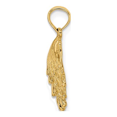 14K Yellow Gold Lion's Paw Shell Pendant – view 3