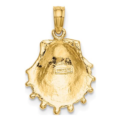 14K Yellow Gold Lion's Paw Shell Pendant – view 5