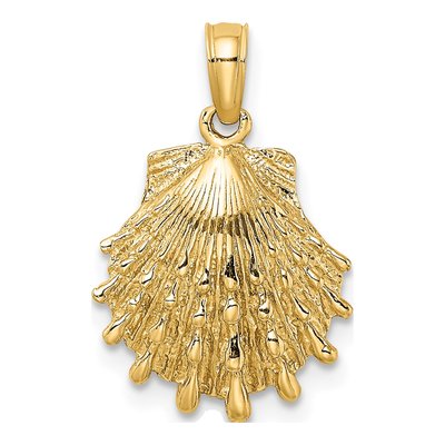 14K Yellow Gold Lion's Paw Shell Pendant