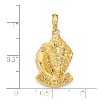 14K Yellow Gold Conch Shell Pendant – view 4