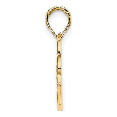 14K Yellow Gold San Diego Banner Dolphins Charm – view 3