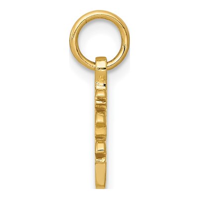 14K Yellow Gold Chinese Long Life Pendant – view 3